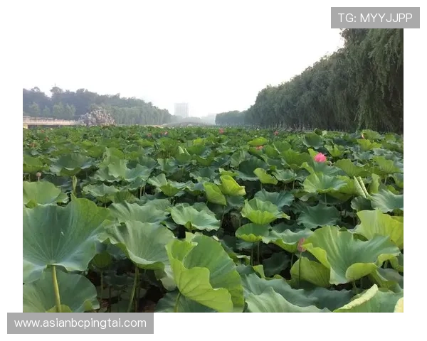 威龙国际娱乐:丰富的赛事和活动让娱乐更加精彩纷呈 威龙国际娱乐:丰富的赛事和活动让娱乐更加精彩纷呈